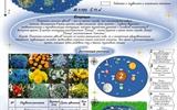 Звездная карта цветов